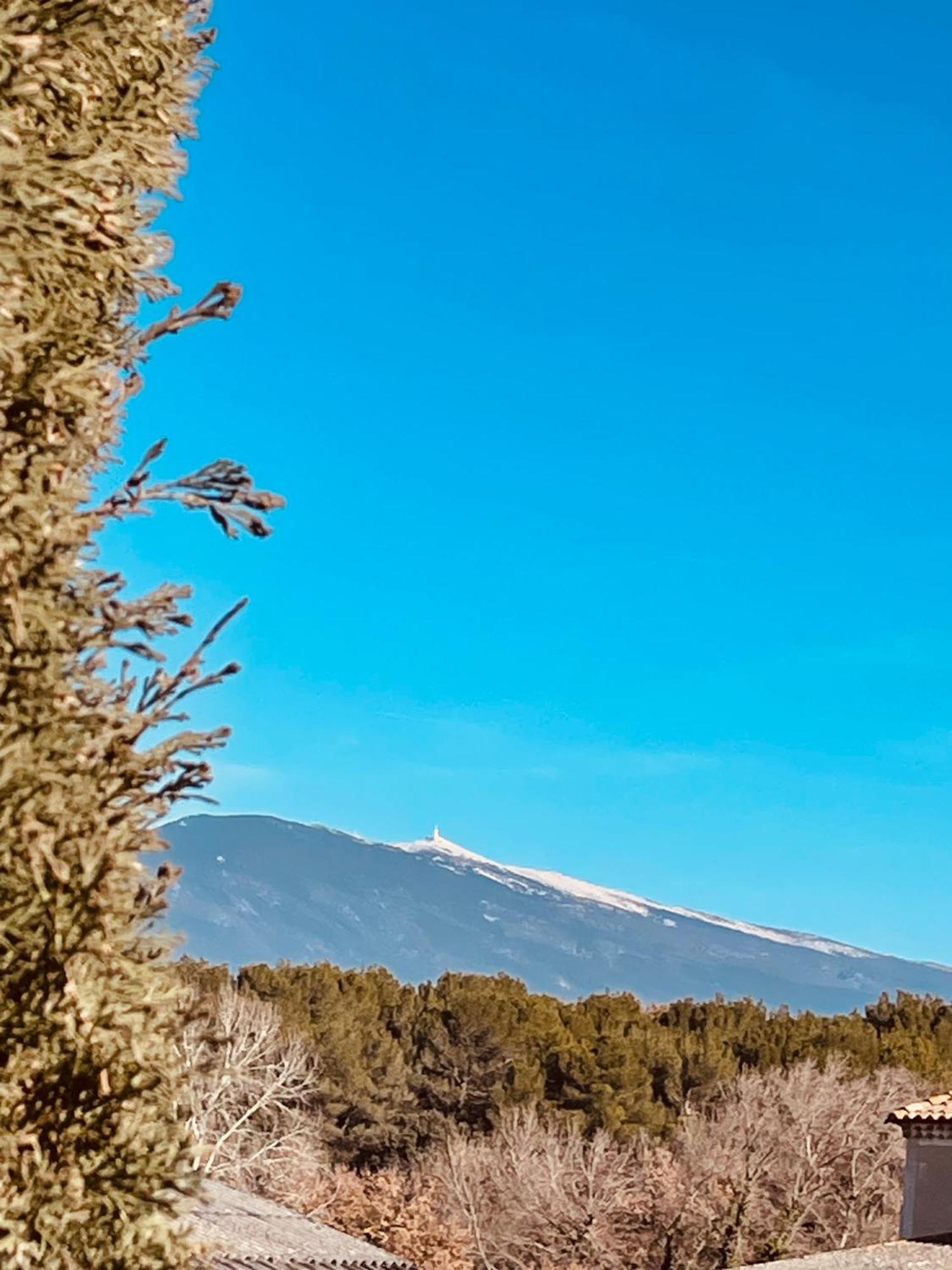 Gite Les Vignes كارْبُنْترا المظهر الخارجي الصورة
