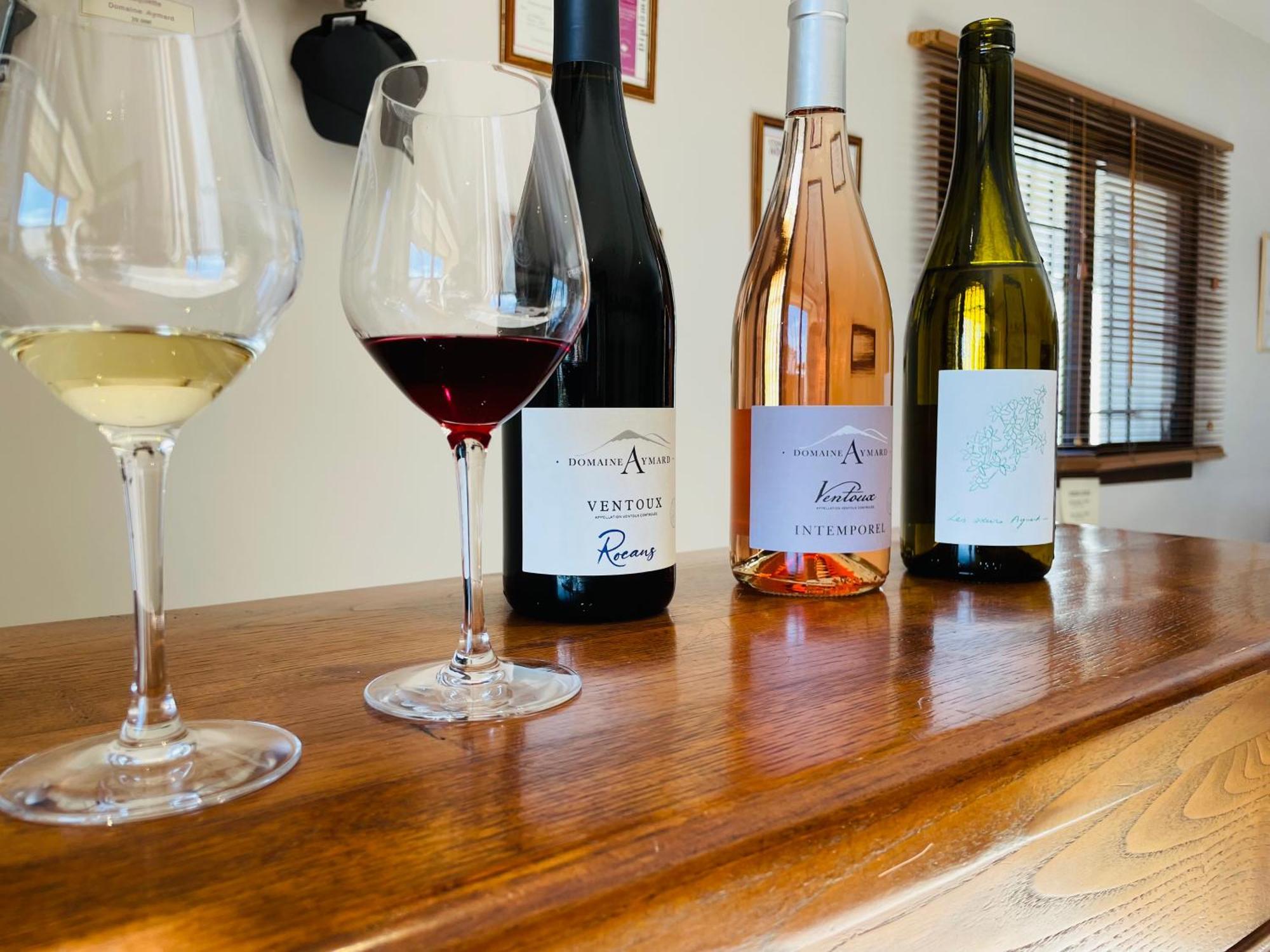 Gite Les Vignes كارْبُنْترا المظهر الخارجي الصورة